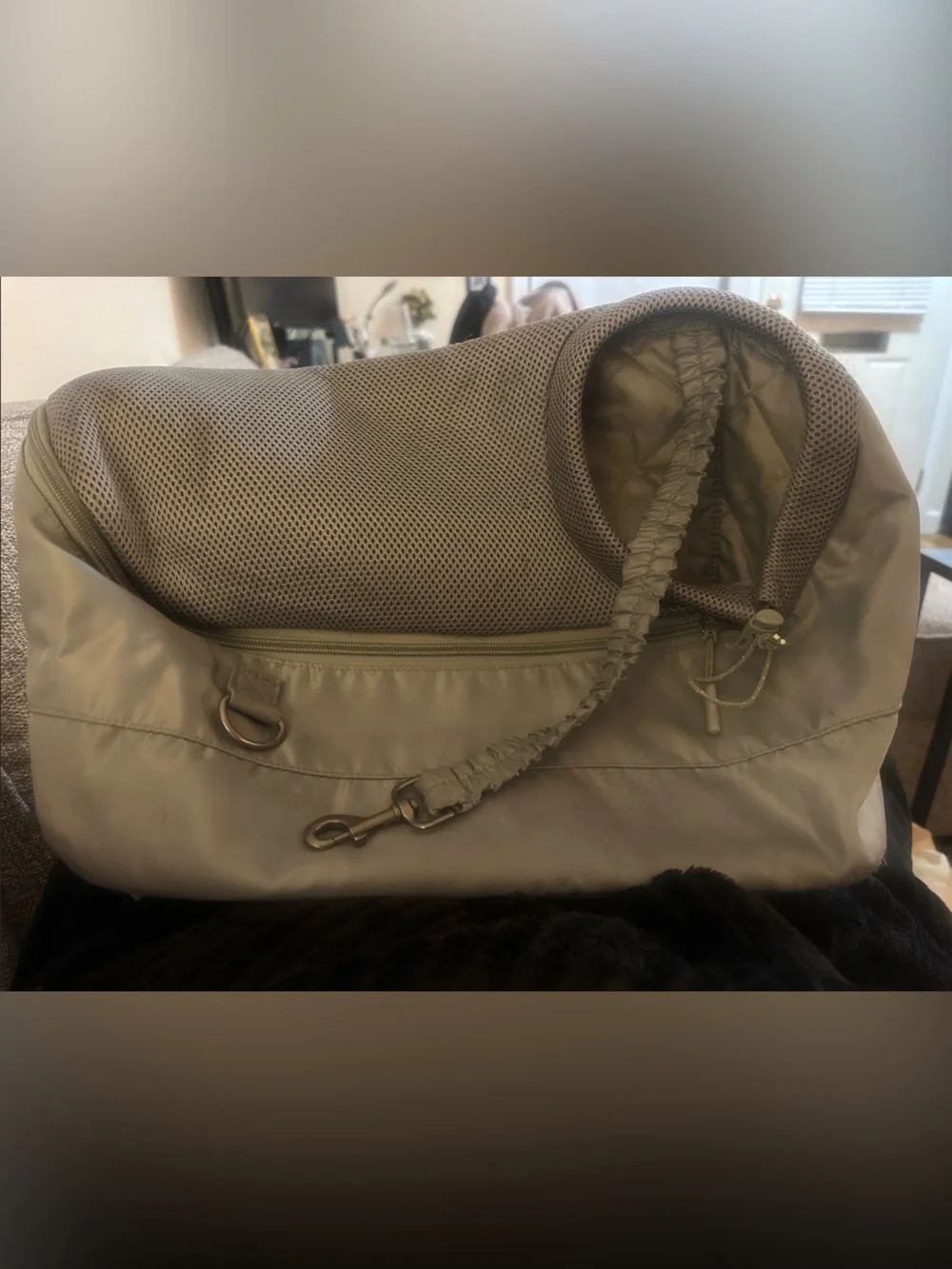 Top Paw On the Go Sling Green Dog Carrier